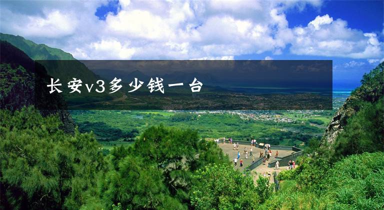 长安v3多少钱一台