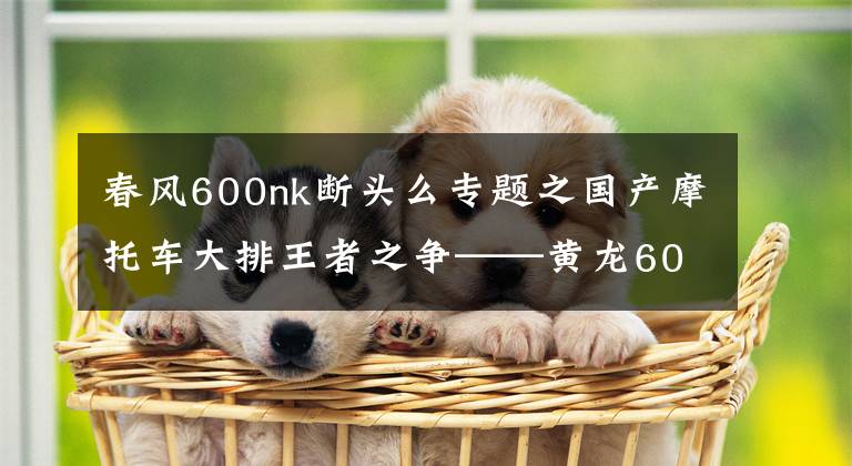 春风600nk断头么专题之国产摩托车大排王者之争——黄龙600VS春风nk650
