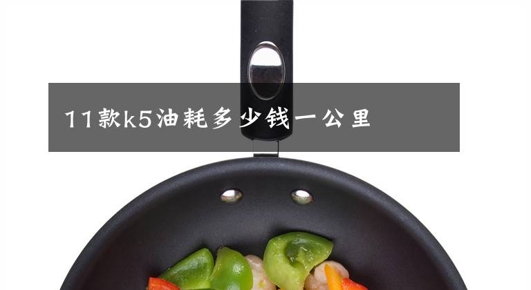 11款k5油耗多少钱一公里