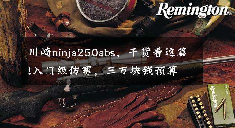川崎ninja250abs,干货看这篇!入门级仿赛,三万块钱预算