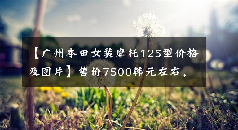 【广州本田女装摩托125型价格及图片】售价7500韩元左右，欧阳-本田平民踏板“喜鲨125”试驾综合评论