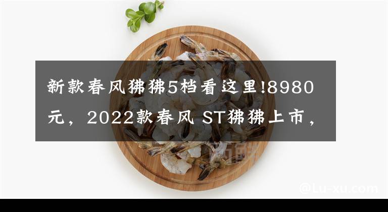 新款春风狒狒5档看这里!8980元，2022款春风 ST狒狒上市，新增配色深空灰
