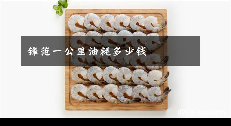 锋范一公里油耗多少钱