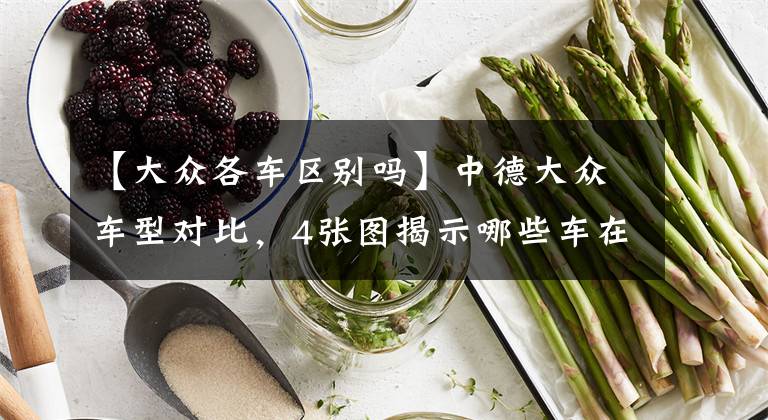 【大众各车区别吗】中德大众车型对比,4张图揭示哪些车在裸泳?
