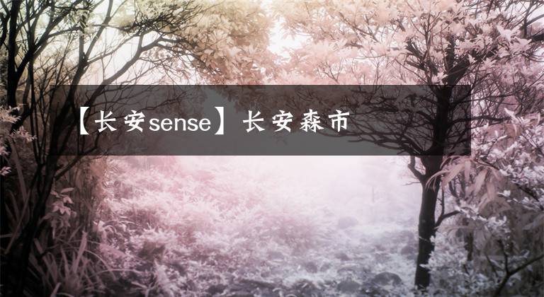 【长安sense】长安森市
