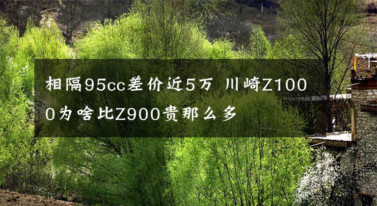 相隔95cc差价近5万 川崎Z1000为啥比Z900贵那么多
