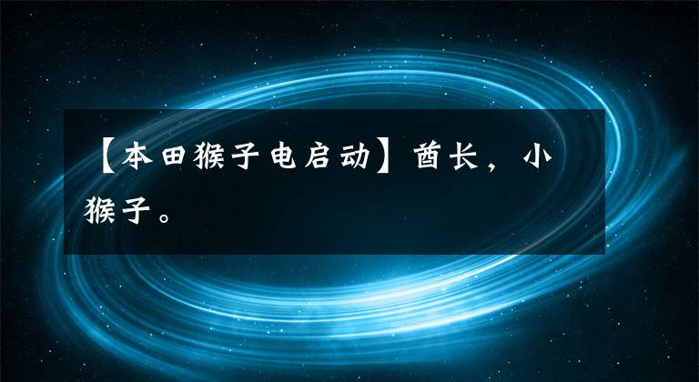 【本田猴子电启动】酋长，小猴子。