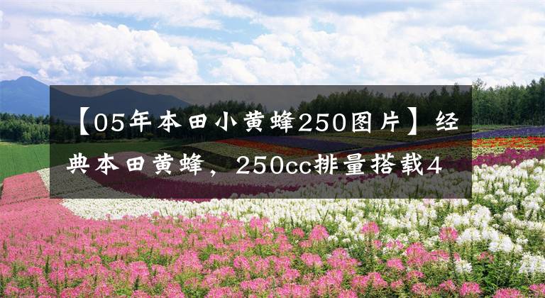 【05年本田小黄蜂250图片】经典本田黄蜂，250cc排量搭载4缸发动机，动力不输现代街车