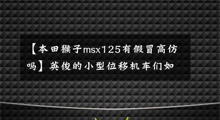 【本田猴子msx125有假冒高仿吗】英俊的小型位移机车们如果不再来中国,就没有机会了