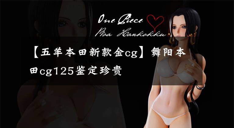 【五羊本田新款金cg】舞阳本田cg125鉴定珍贵