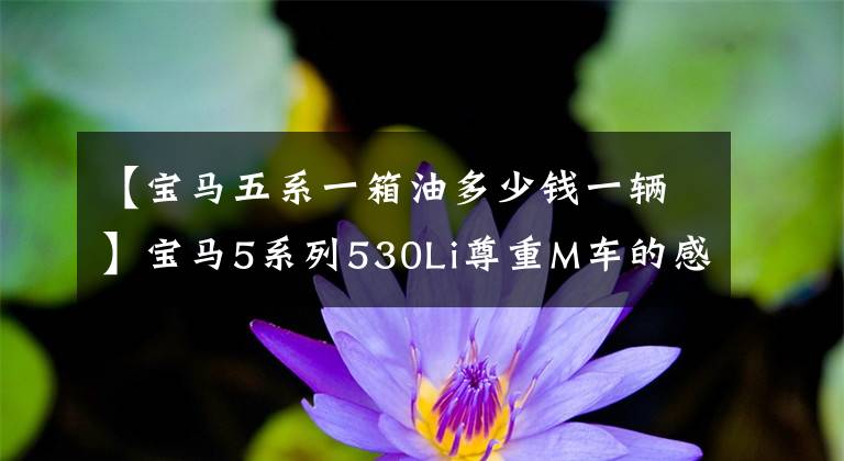 【宝马五系一箱油多少钱一辆】宝马5系列530Li尊重M车的感觉,一箱油跑1000公里,操作游刃有余!
