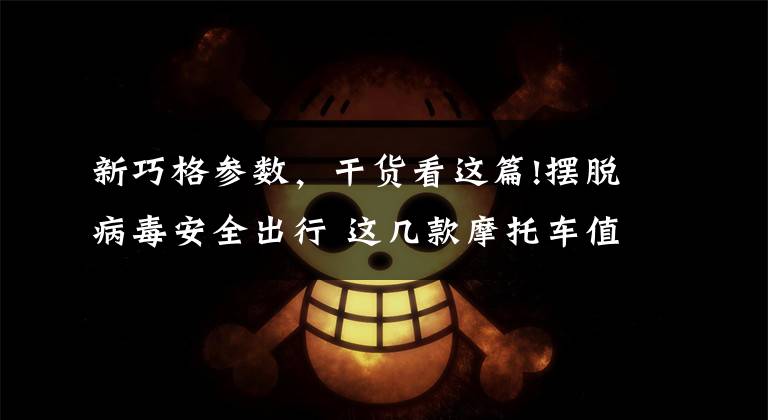 新巧格参数，干货看这篇!摆脱病毒安全出行 这几款摩托车值得选（入门篇）