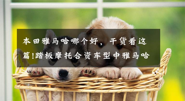 本田雅马哈哪个好,干货看这篇!踏板摩托合资车型中雅马哈本田铃木,发动机谁更胜一筹