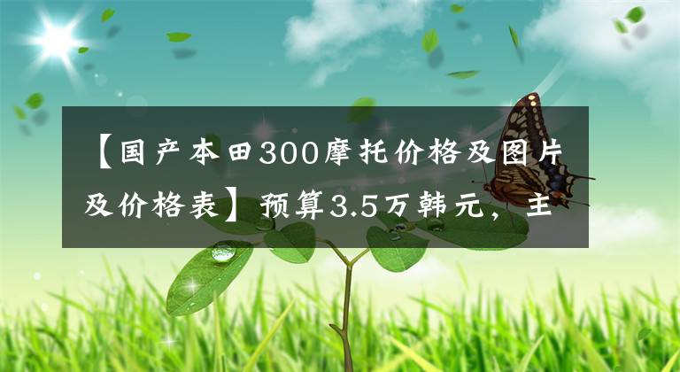 【国产本田300摩托价格及图片及价格表】预算3.5万韩元，主要城市通勤，偶尔推荐周边短途、街车和巡航车