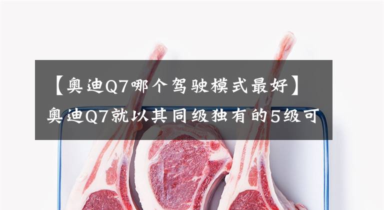 【奥迪Q7哪个驾驶模式最好】奥迪Q7就以其同级独有的5级可调Quattr驾驶模式来提升