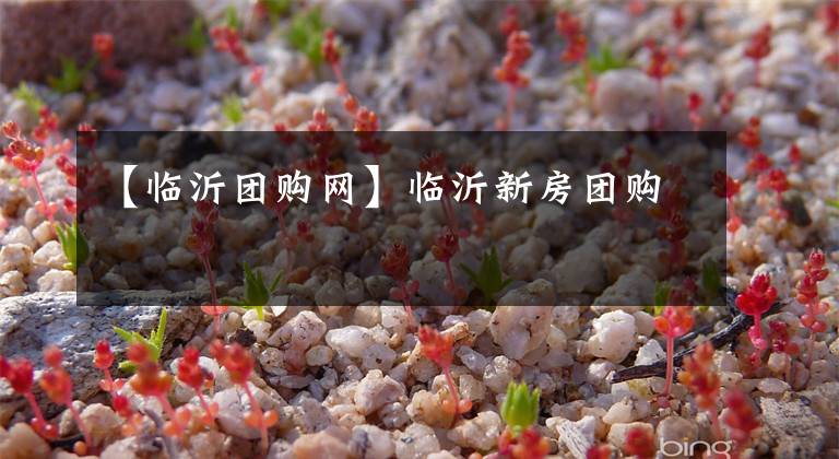 【临沂团购网】临沂新房团购