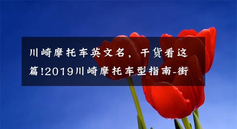 川崎摩托车英文名,干货看这篇!2019川崎摩托车型指南-街车(Ninja)系列