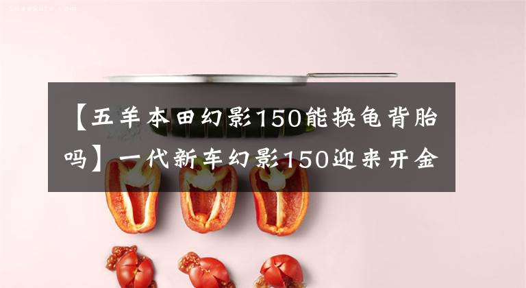 【五羊本田幻影150能换龟背胎吗】一代新车幻影150迎来开金，能做神话续作吗？