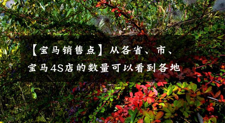 【宝马销售点】从各省、市、宝马4S店的数量可以看到各地的消费能力。