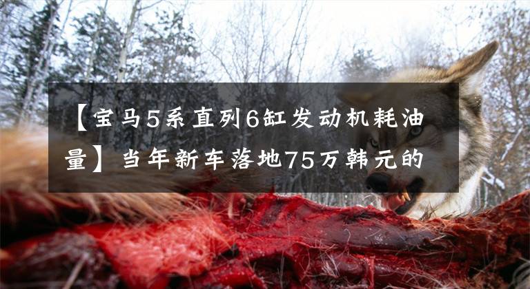 【宝马5系直列6缸发动机耗油量】当年新车落地75万韩元的宝马5系，现在是18万韩元！这辆车值得买吗？