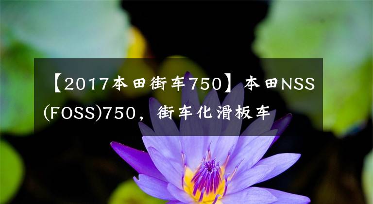 【2017本田街车750】本田NSS(FOSS)750,街车化滑板车