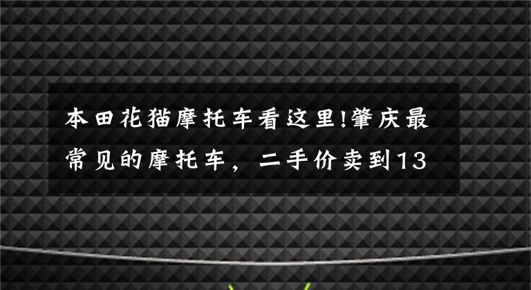本田花猫摩托车看这里!肇庆最常见的摩托车,二手价卖到13.8万元!快看你家有没有?