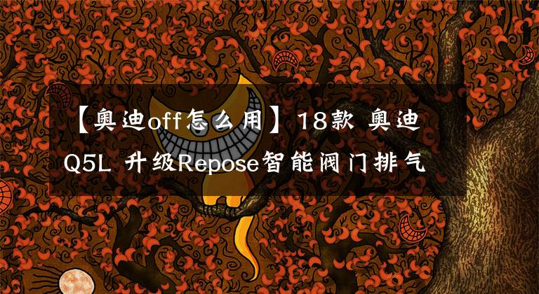 【奥迪off怎么用】18款 奥迪Q5L 升级Repose智能阀门排气