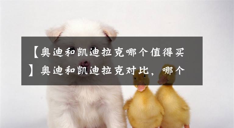【奥迪和凯迪拉克哪个值得买】奥迪和凯迪拉克对比，哪个档次高？买谁划算些？
