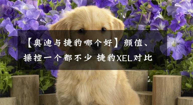 【奥迪与捷豹哪个好】颜值、操控一个都不少 捷豹XEL对比奥迪A4L，应该选哪一款？