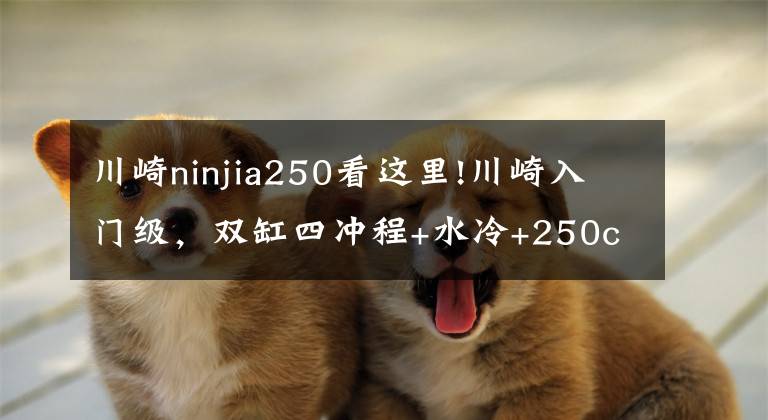 川崎ninjia250看这里!川崎入门级,双缸四冲程+水冷+250cc,尽显暴力美学,续航超长