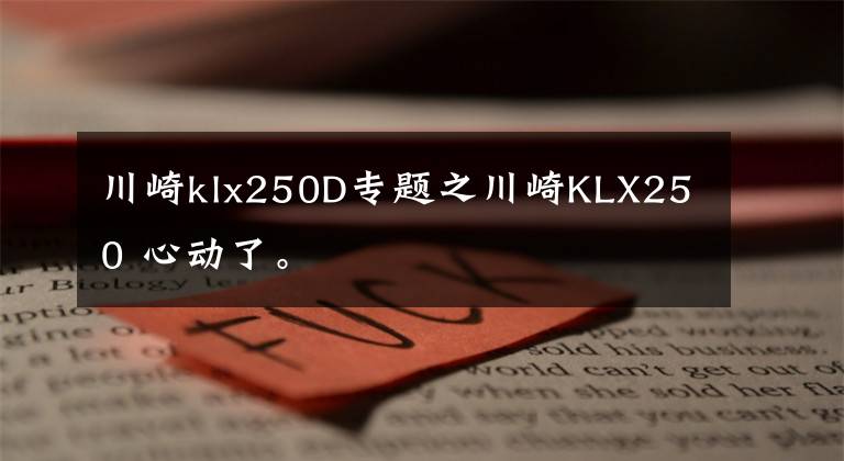 川崎klx250D专题之川崎KLX250 心动了。