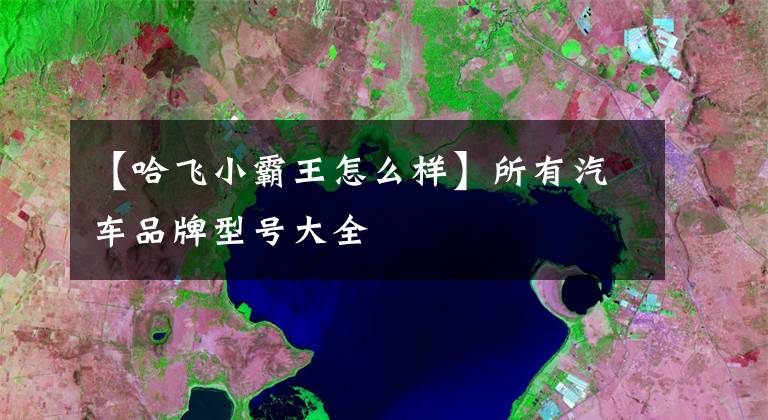 【哈飞小霸王怎么样】所有汽车品牌型号大全