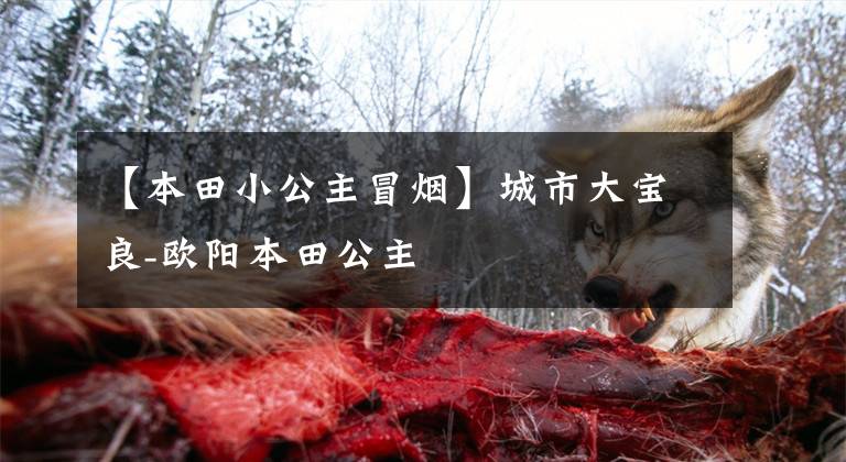 【本田小公主冒烟】城市大宝良-欧阳本田公主