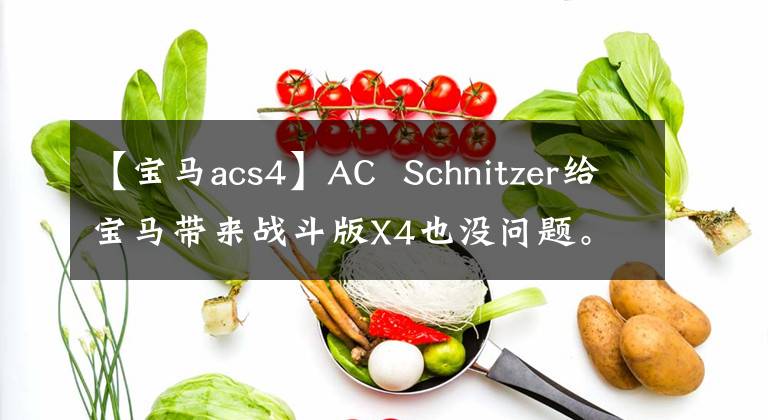 【宝马acs4】AC Schnitzer给宝马带来战斗版X4也没问题。