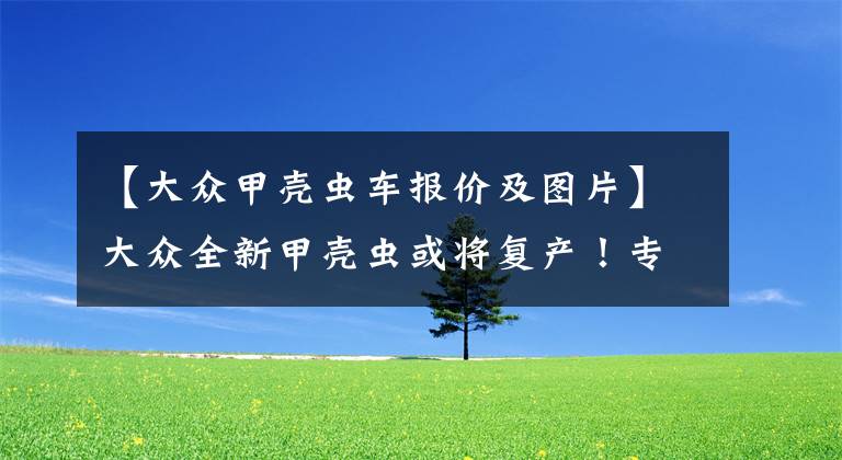 【大众甲壳虫车报价及图片】大众全新甲壳虫或将复产!专为国内市场打造,售价将高于ID.3