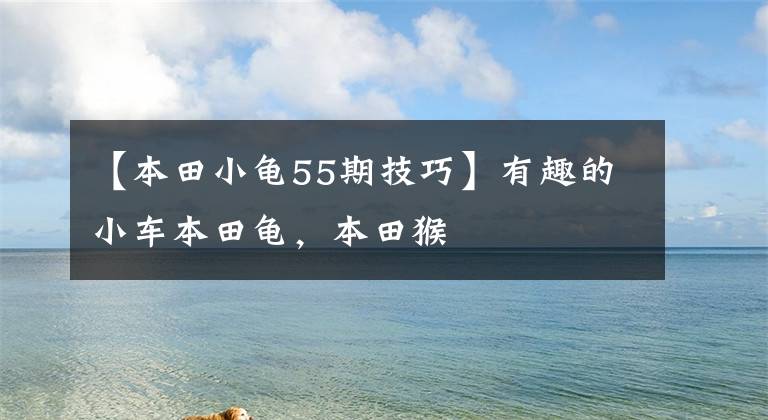【本田小龟55期技巧】有趣的小车本田龟，本田猴