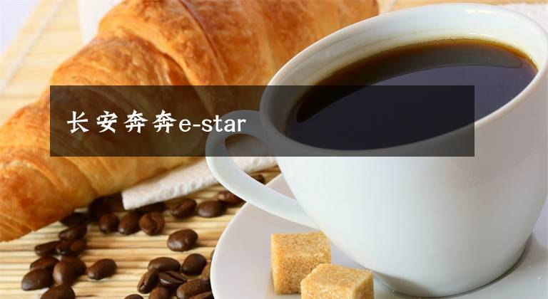 长安奔奔e-star