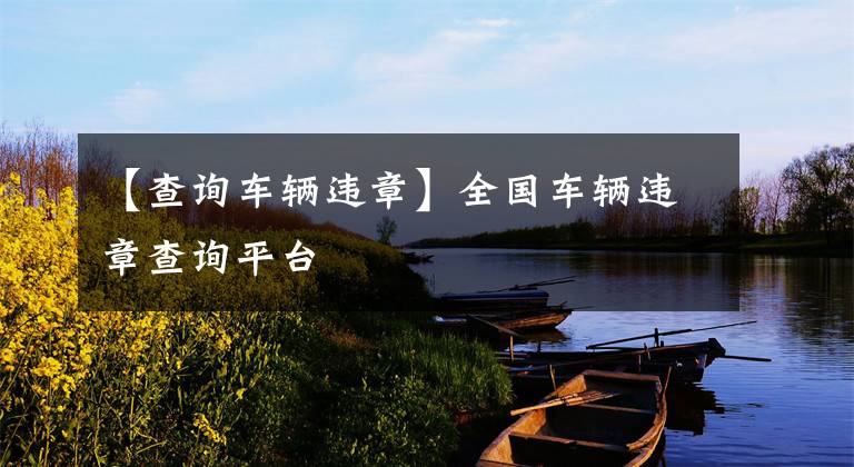 【查询车辆违章】全国车辆违章查询平台
