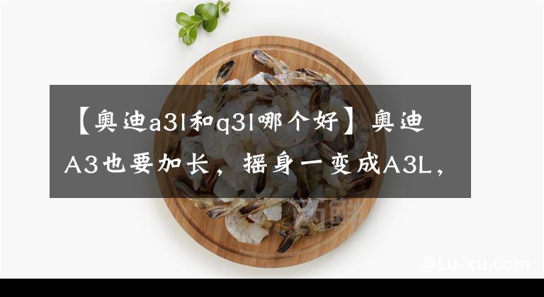 【奥迪a3l和q3l哪个好】奥迪A3也要加长,摇身一变成A3L,加长套路能否继续得人心