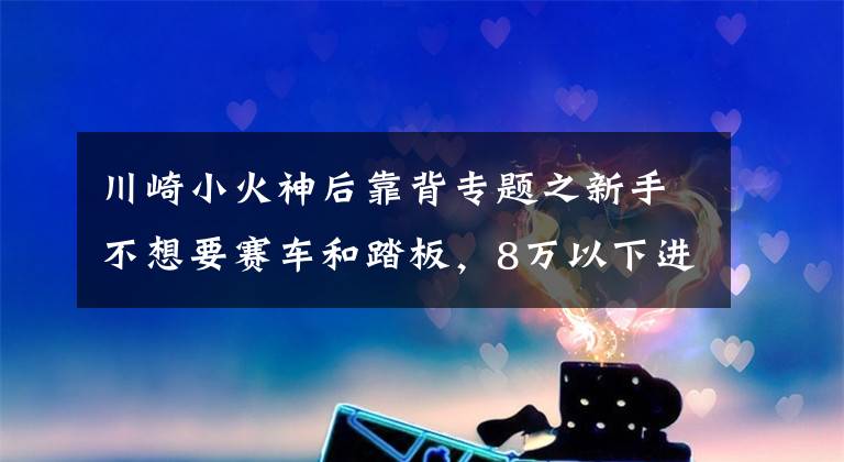 川崎小火神后靠背专题之新手不想要赛车和踏板，8万以下进口的，后座平整的摩托有哪些？