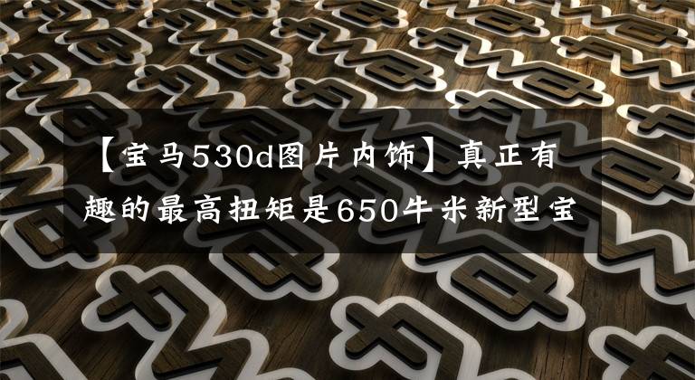 【宝马530d图片内饰】真正有趣的最高扭矩是650牛米新型宝马530d实车