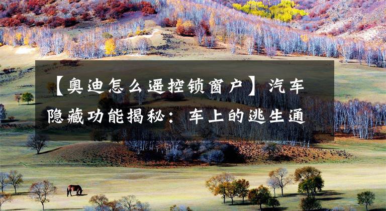 【奥迪怎么遥控锁窗户】汽车隐藏功能揭秘:车上的逃生通道你知道吗?