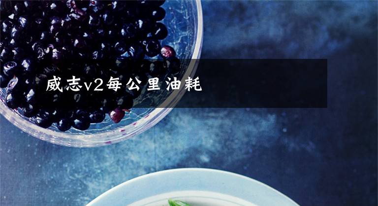 威志v2每公里油耗