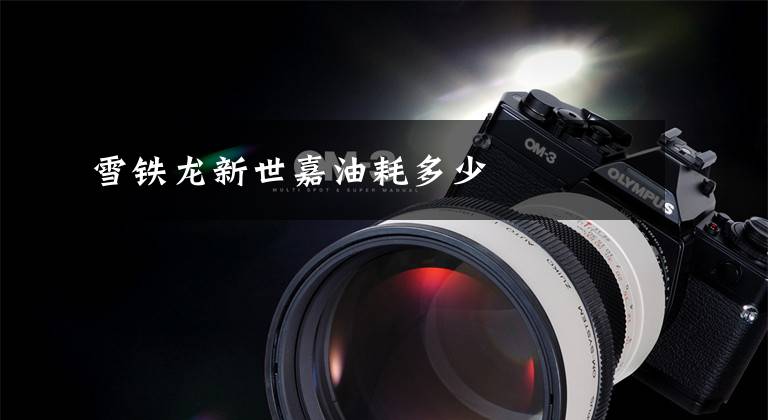 雪铁龙新世嘉油耗多少