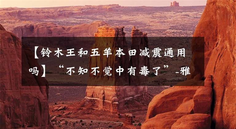 【铃木王和五羊本田减震通用吗】“不知不觉中有毒了”-雅马哈教格(浅棕)1200公里驾驶感觉杂谈