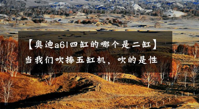 【奥迪a6l四缸的哪个是二缸】当我们吹捧五缸机,吹的是性能还是皮耶希?