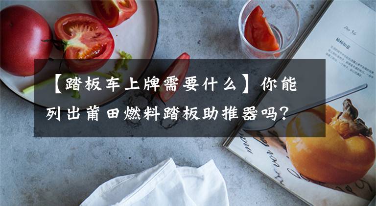 【踏板车上牌需要什么】你能列出莆田燃料踏板助推器吗?