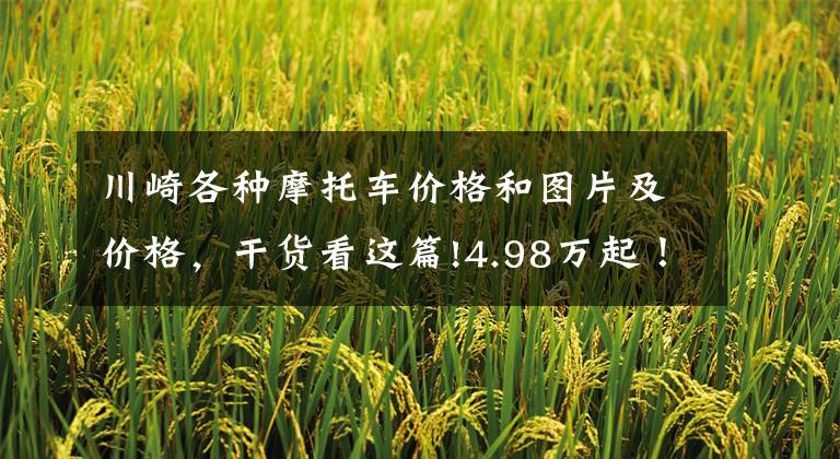 川崎各种摩托车价格和图片及价格,干货看这篇!4.98万起!川崎Ninja400新款上市,马力偷涨2匹!