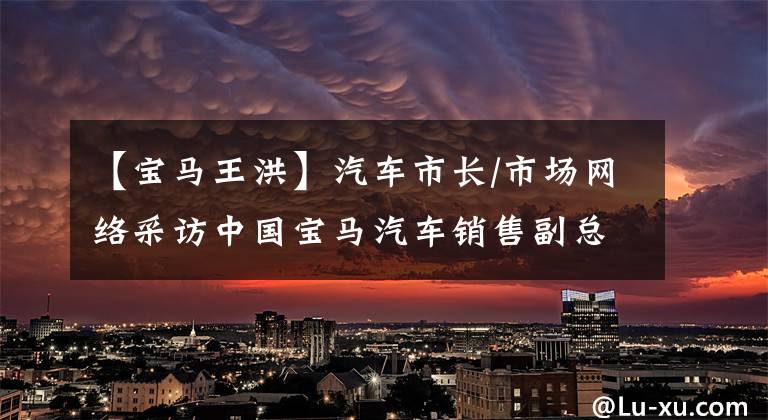 【宝马王洪】汽车市长/市场网络采访中国宝马汽车销售副总裁王红