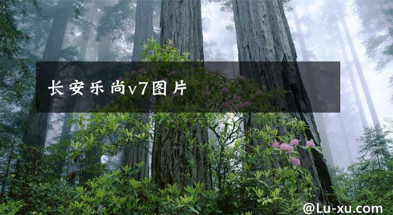 长安乐尚v7图片